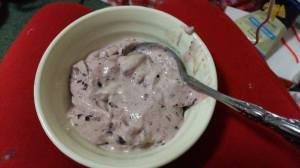 blueberry icecream